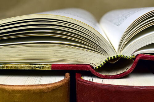 book-antiquariat-old-books-used-books-preview