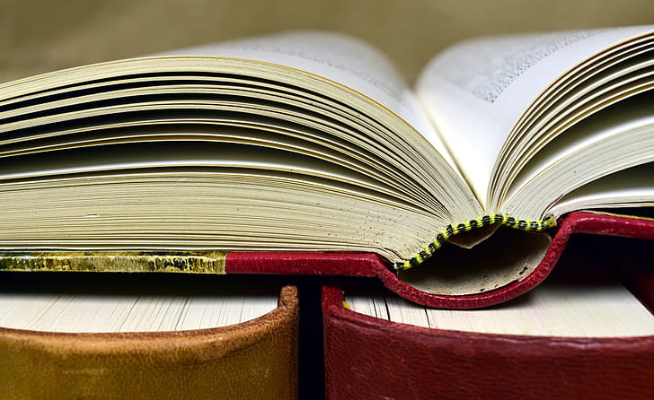 book-antiquariat-old-books-used-books-preview